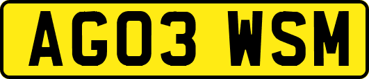 AG03WSM