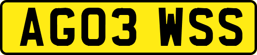 AG03WSS