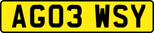 AG03WSY