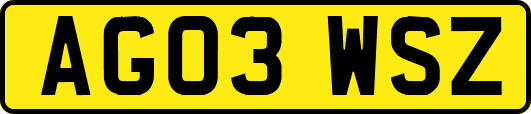 AG03WSZ