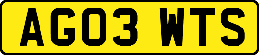 AG03WTS