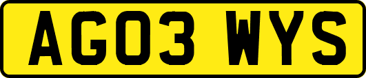 AG03WYS