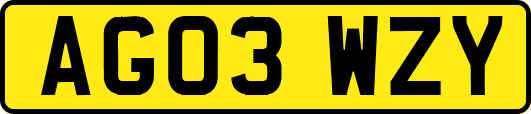 AG03WZY