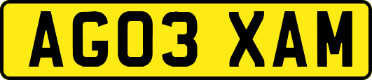 AG03XAM