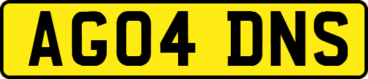 AG04DNS