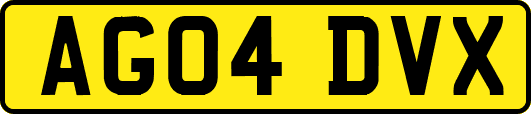 AG04DVX