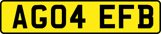 AG04EFB
