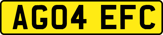 AG04EFC