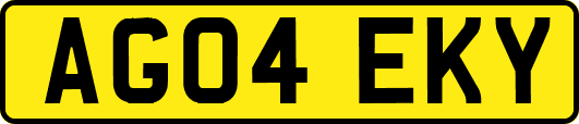 AG04EKY