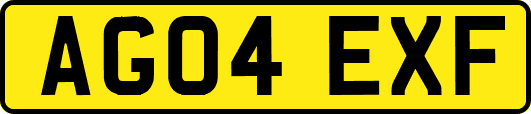 AG04EXF
