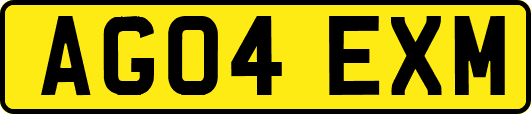 AG04EXM