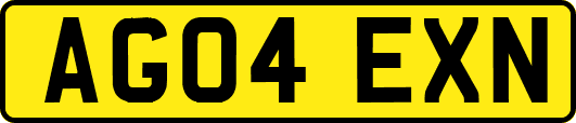 AG04EXN