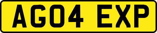 AG04EXP