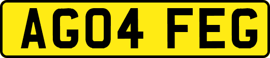 AG04FEG