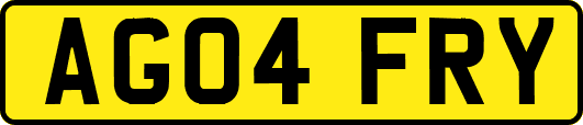 AG04FRY
