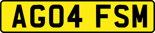 AG04FSM