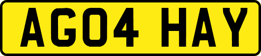 AG04HAY