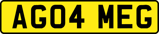 AG04MEG