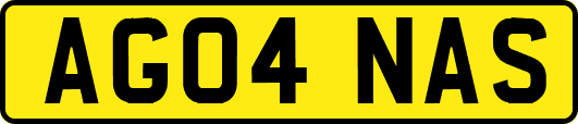 AG04NAS