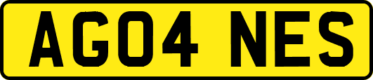 AG04NES