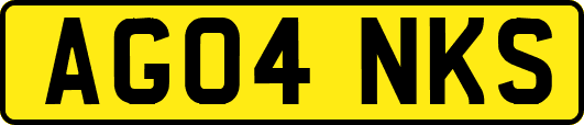AG04NKS