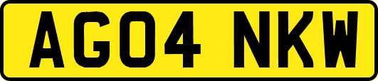 AG04NKW