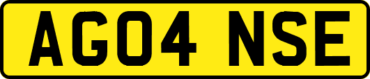 AG04NSE