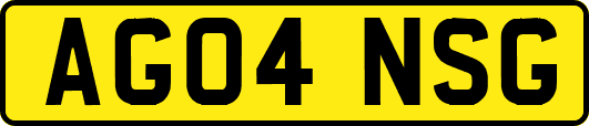 AG04NSG