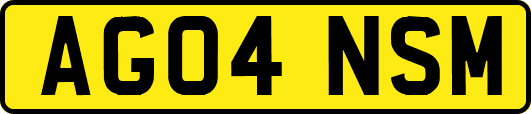 AG04NSM
