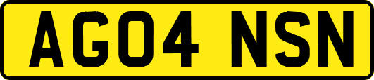 AG04NSN
