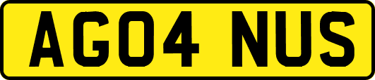 AG04NUS