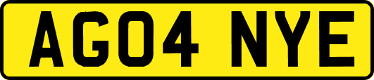 AG04NYE