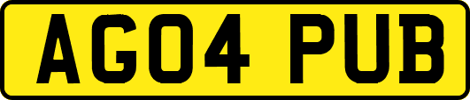 AG04PUB