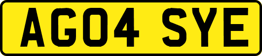 AG04SYE