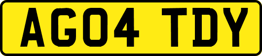 AG04TDY