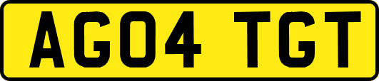 AG04TGT