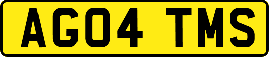 AG04TMS