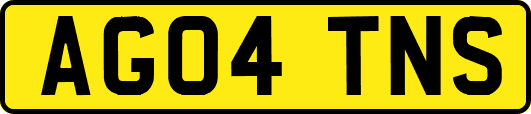 AG04TNS