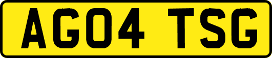 AG04TSG