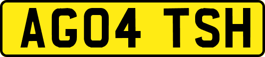 AG04TSH