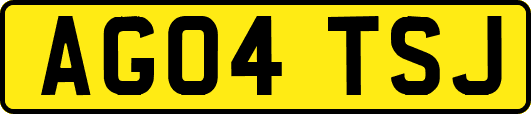 AG04TSJ