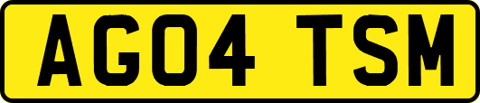 AG04TSM