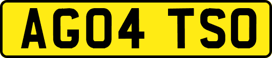 AG04TSO