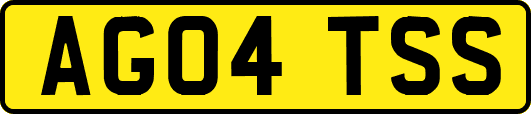 AG04TSS