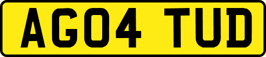 AG04TUD