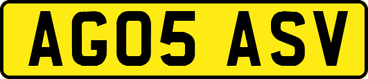 AG05ASV