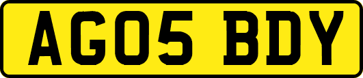 AG05BDY