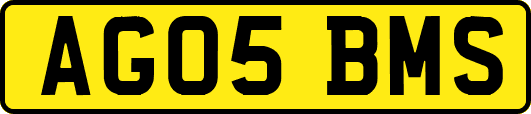 AG05BMS