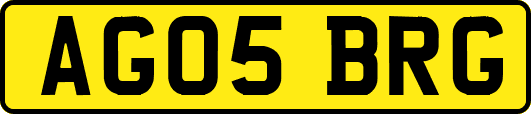 AG05BRG