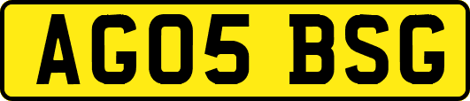 AG05BSG